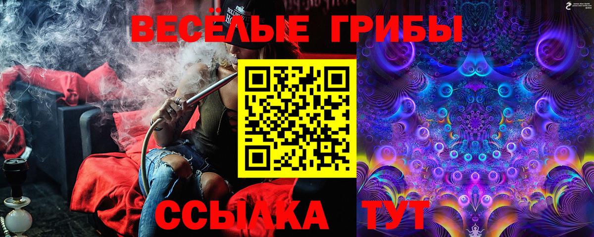 Галлюциногенные грибы мицелий  где можно купить   Железноводск  Псилоцибиновые грибы MAGIC MUSHROOMS  Вход с VPN 